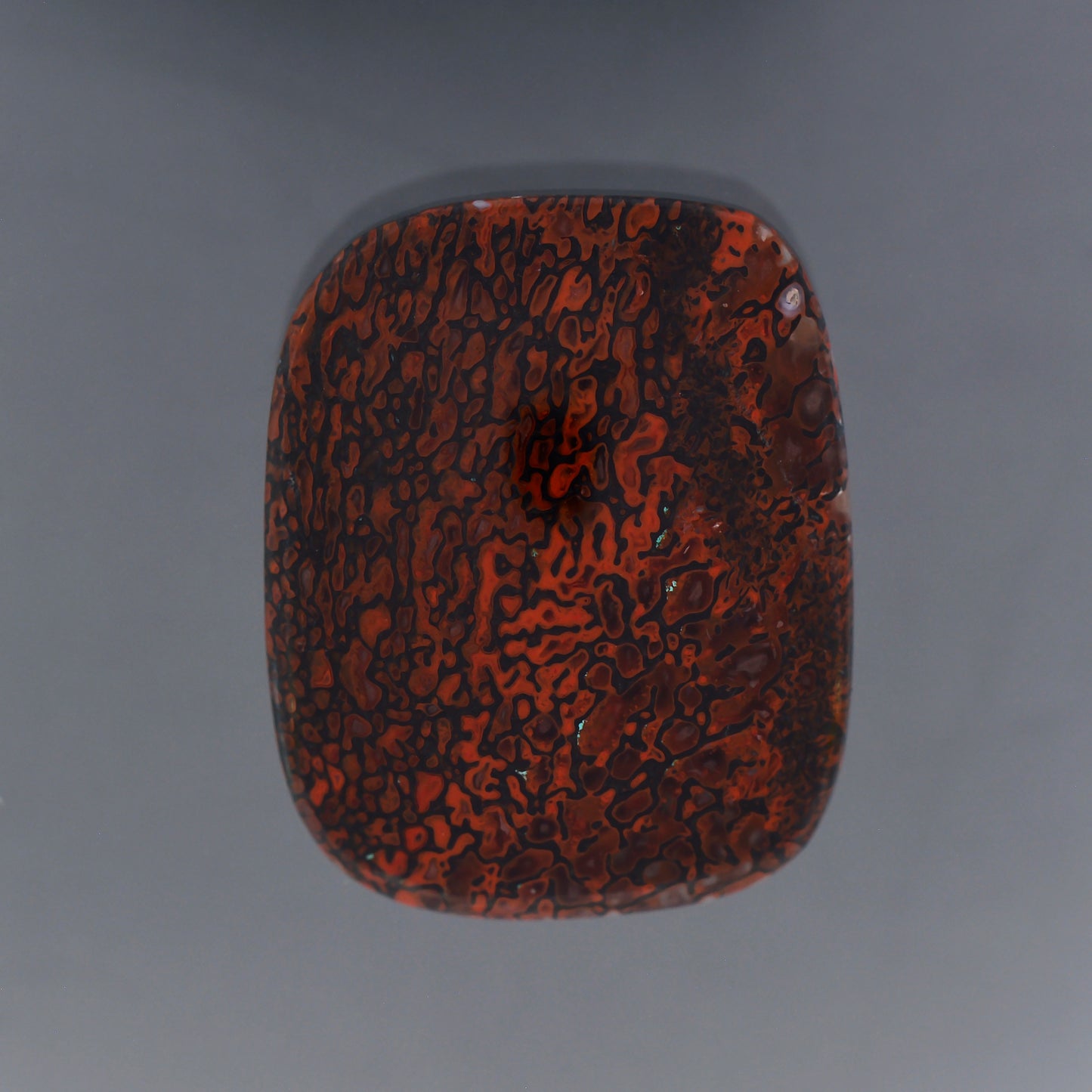 Gem Dinosaur Bone, 21.97 cts., 26.0 x 20.8 mm, Rectangle Cabochon, Red, Brown, Colorado, Natural