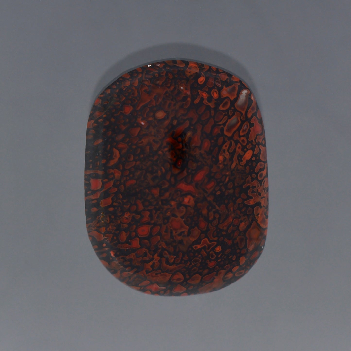 Gem Dinosaur Bone, 8.70 cts., 17.7 x 13.6 mm, Rectangle Cabochon, Red, Brown, Colorado, Natural