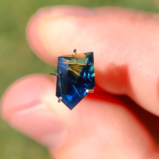 Parti Sapphire, 2.55 cts., 9.6x6.8 mm., Freeform Fantasy, Bicolor, Blue, Yellow, Australia, Natural