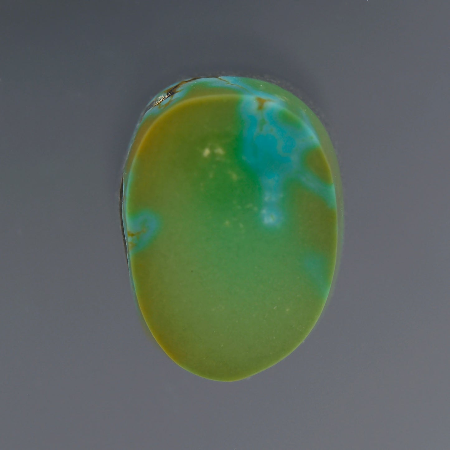 Turquoise, 2.85 cts., 10.8 x 8.2 mm, Freeform Cabochon, Green, Blue, Nevada, Stabilized