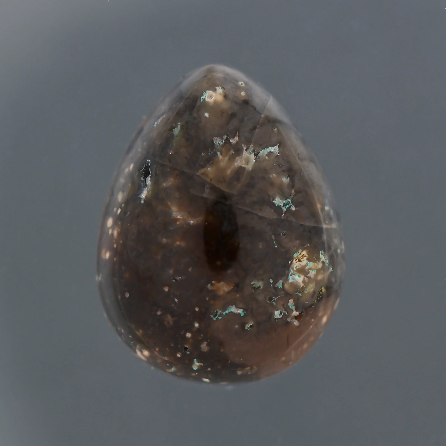 Agatized Coral, 5.61 cts., 13.6 x 10.5 mm, Cabochon Pear, Brown, Florida, Natural