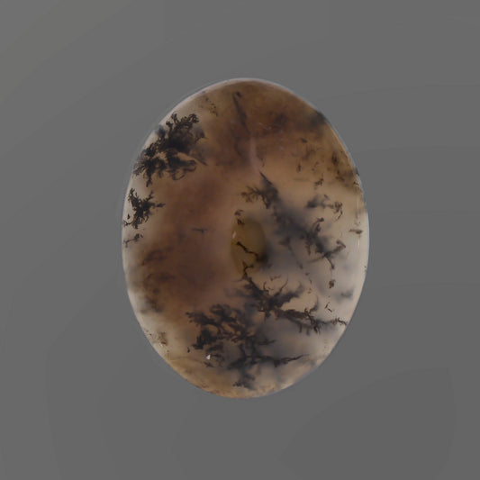Dendritic Agate, 11.10 cts., 19.7 x 15.2 mm, Cabochon Oval, Black, Tan, Nevada, Natural