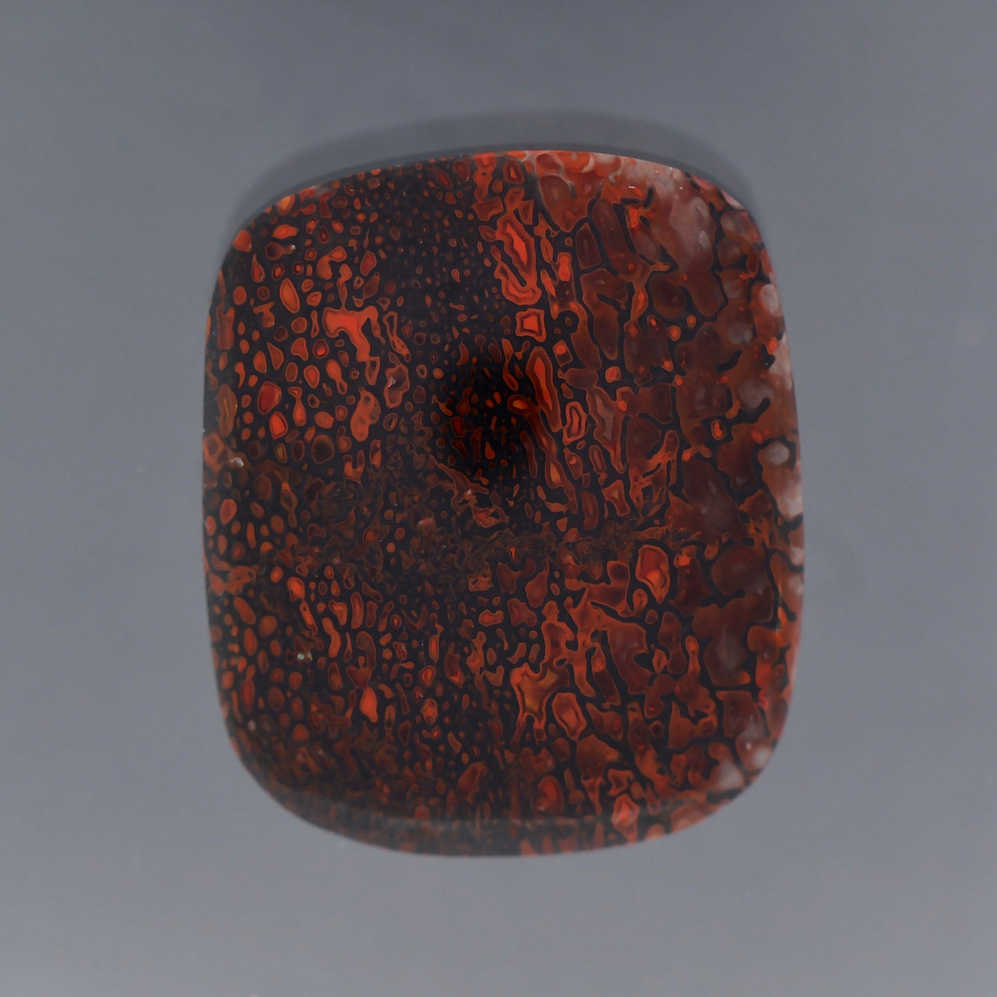 Gem Dinosaur Bone, 15.75 cts., 22.7 x 19.1 mm, Rectangle Cabochon, Red, Brown, Colorado, Natural