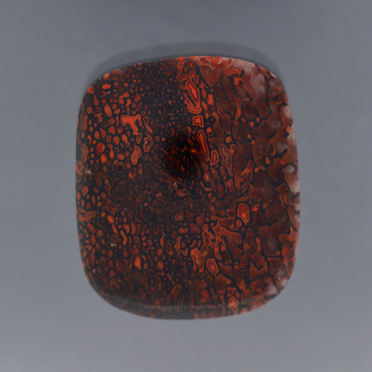 Gem Dinosaur Bone, 15.75 cts., 22.7 x 19.1 mm, Rectangle Cabochon, Red, Brown, Colorado, Natural