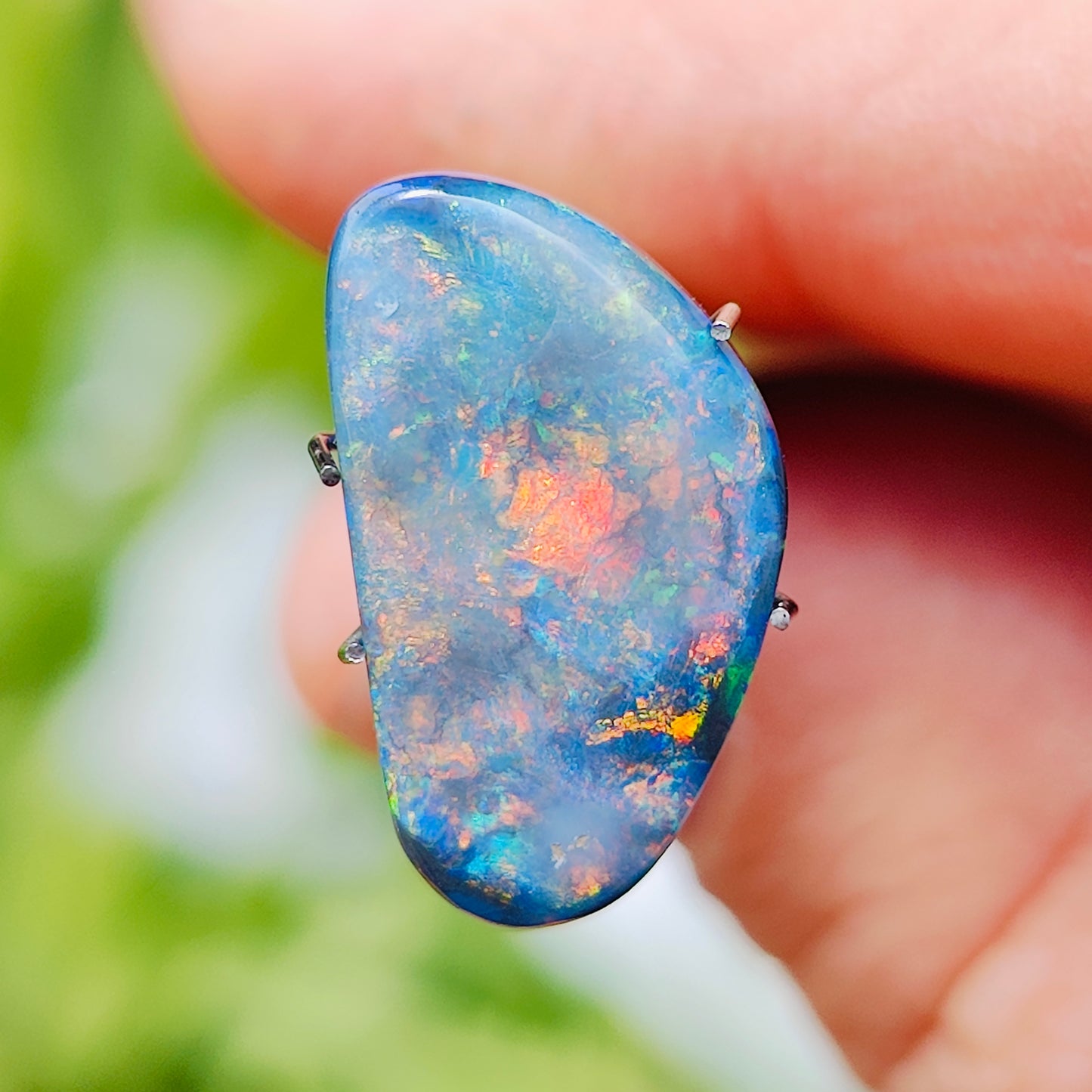 Semi Black Opal, 5.62 cts., 19.3x10.8 mm., Freeform Cabochon, Australia, Natural