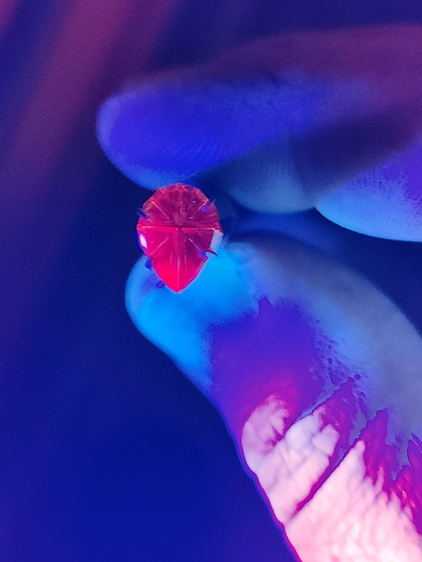 Dragon Sapphire, 1.29 cts., 9.3x6.9 mm., Fantasy Pear, Orange, Tanzania, Natural