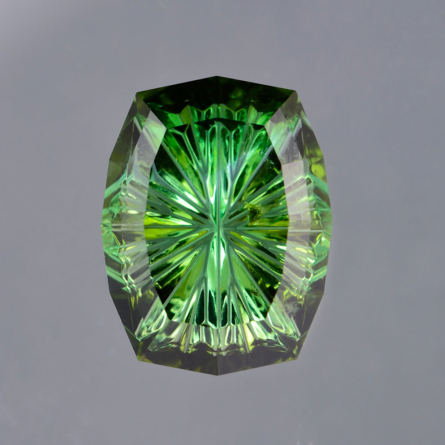 Tourmaline, 7.83 cts., 14.9x11.5 mm., Cushion Fantasy, Green, Brazil, Natural