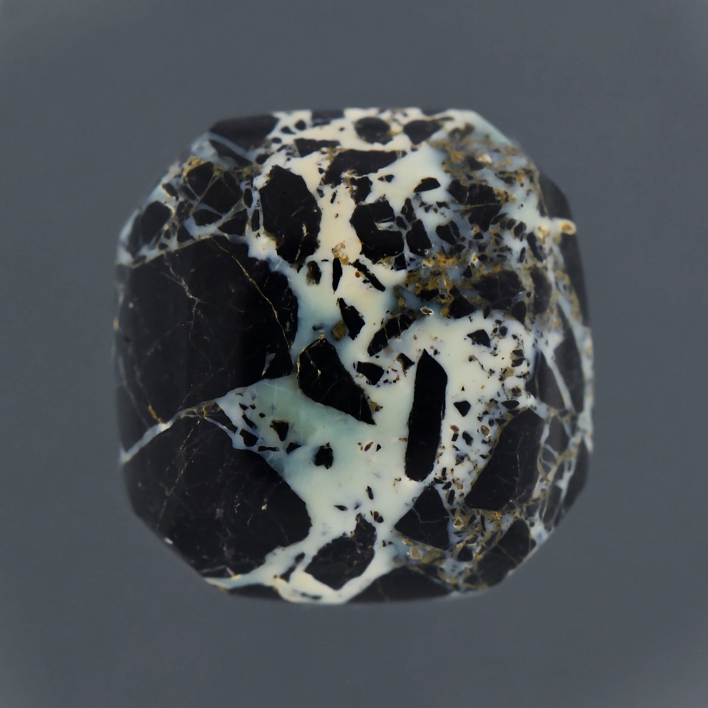 Starfox Variscite, 8.23 cts., 13.4 x 13.9 mm, Square Cabochon, Blue, Black, Multicolor, Nevada, Natural