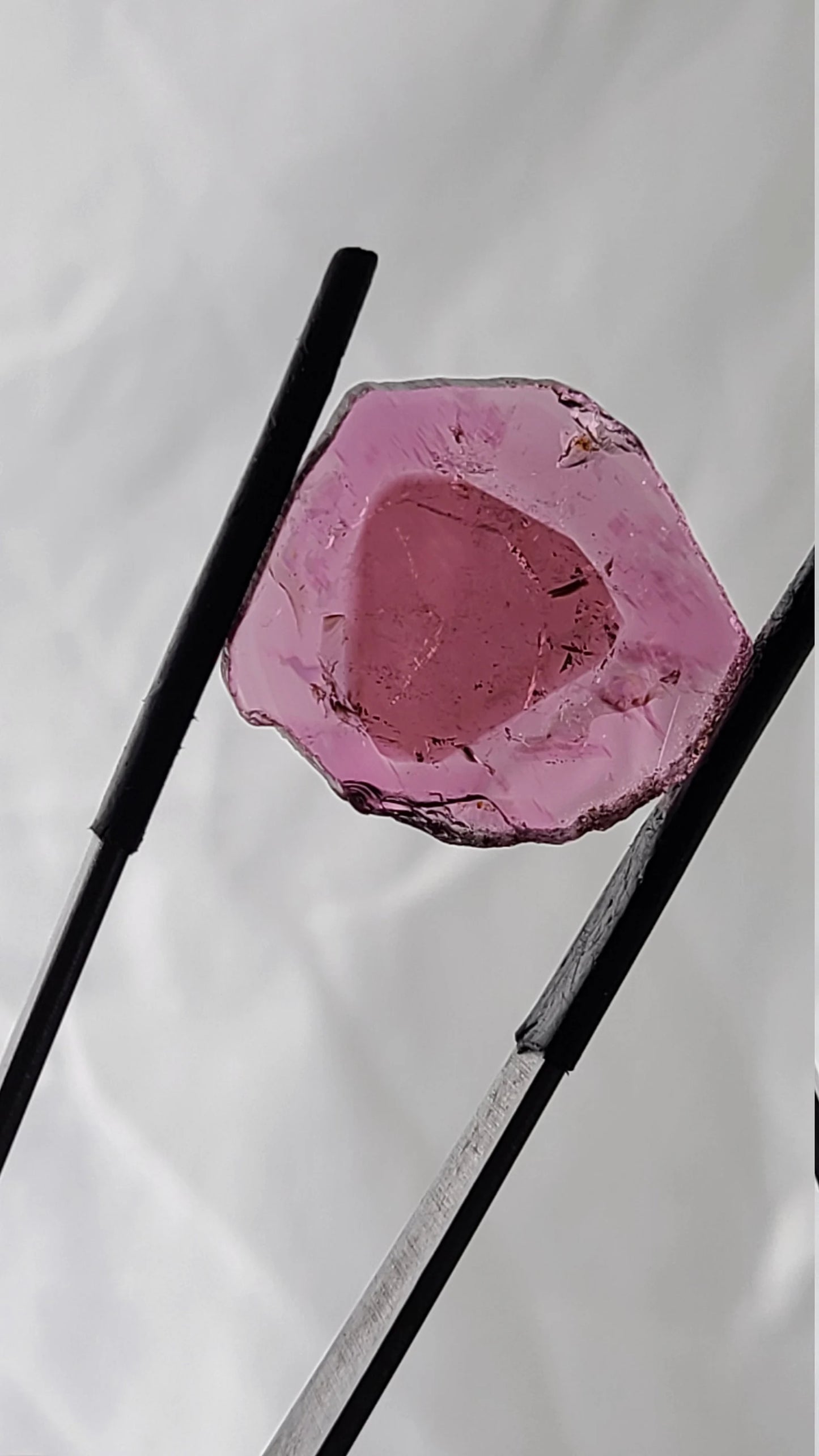 Lovely Natural Tourmaline Slice from Brazil, 15.62 cts., 23x22 mm., Polished Crystal Slice