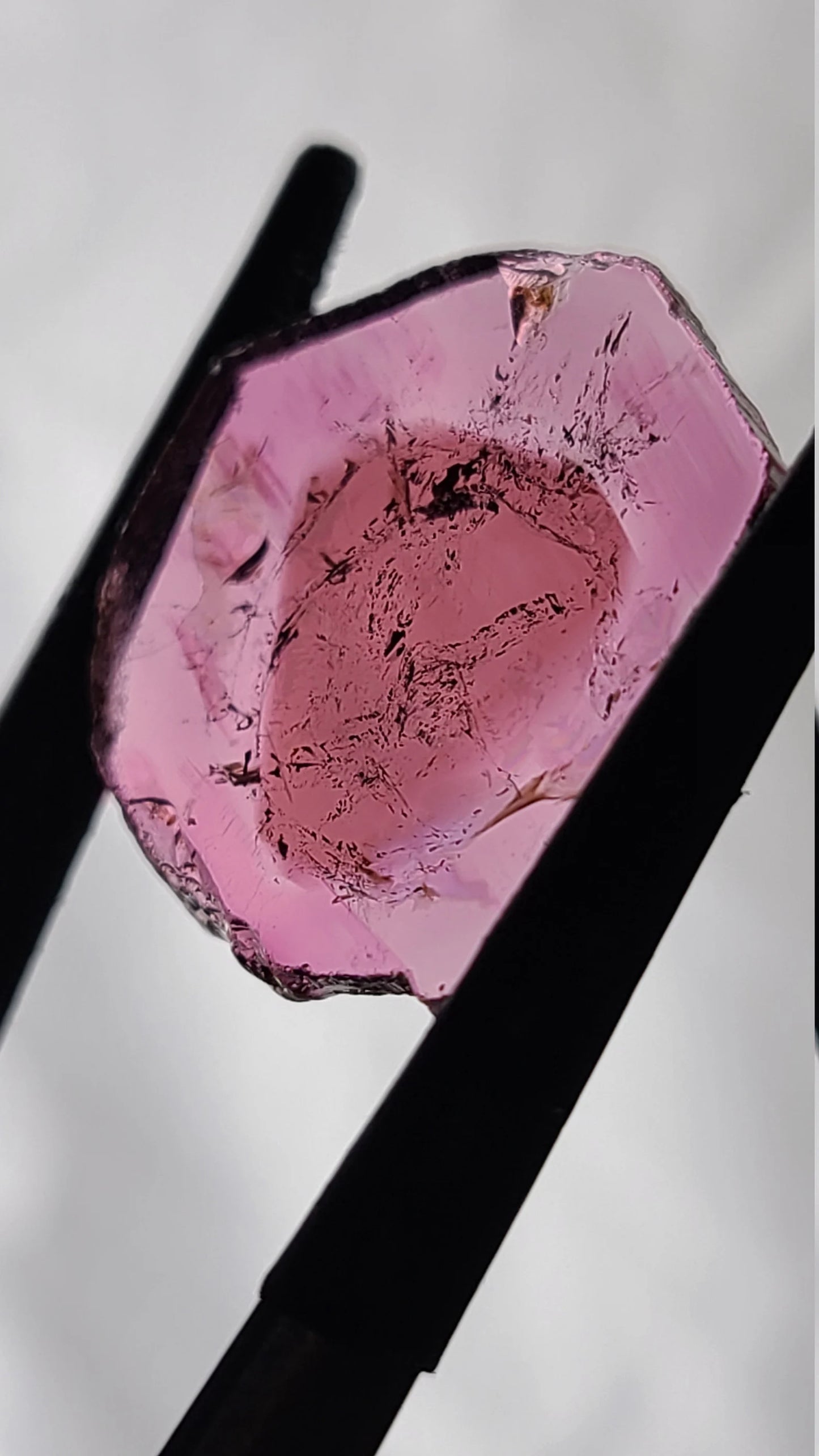 Lovely Natural Tourmaline Slice from Brazil, 15.62 cts., 23x22 mm., Polished Crystal Slice