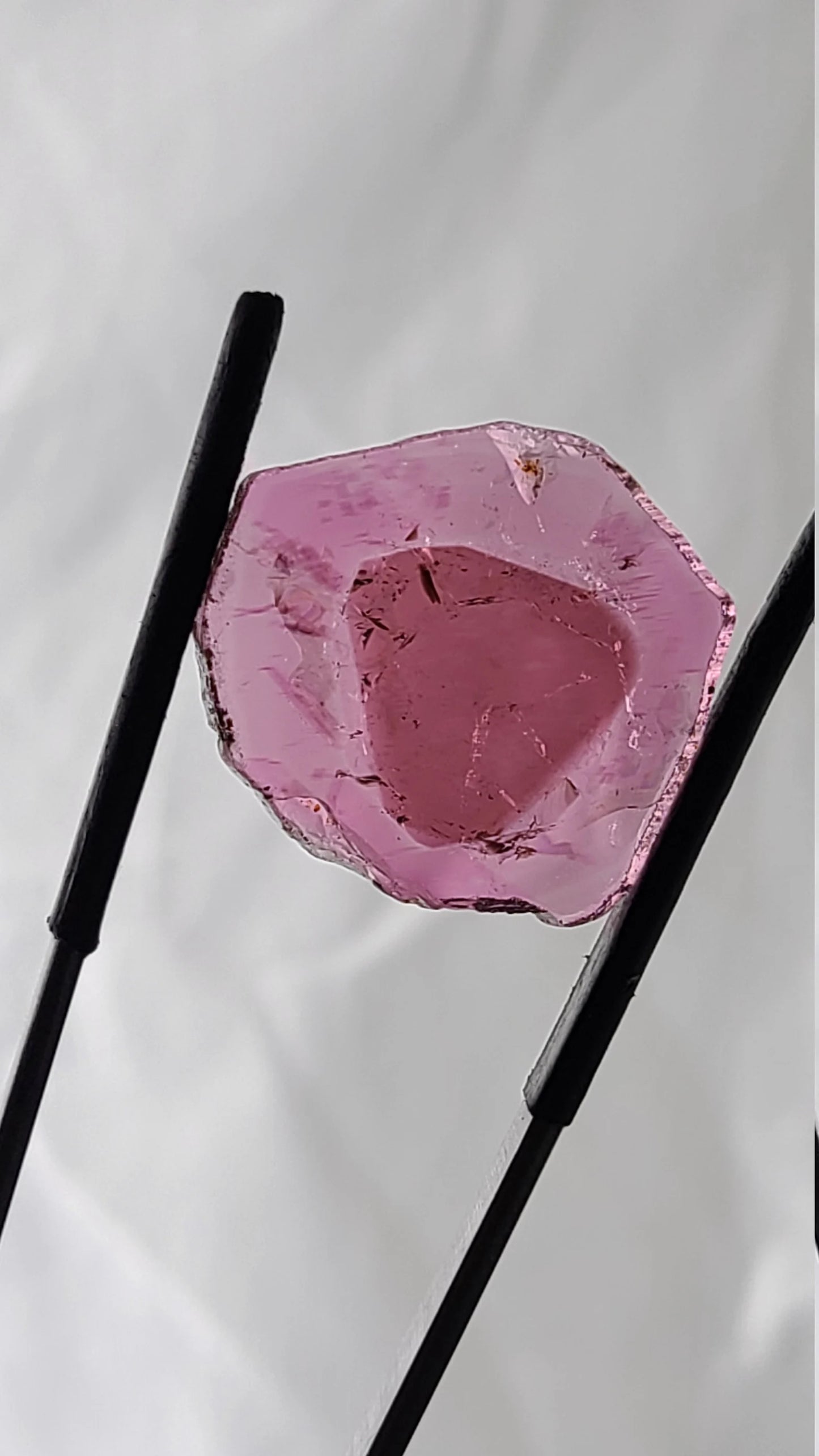 Lovely Natural Tourmaline Slice from Brazil, 15.62 cts., 23x22 mm., Polished Crystal Slice