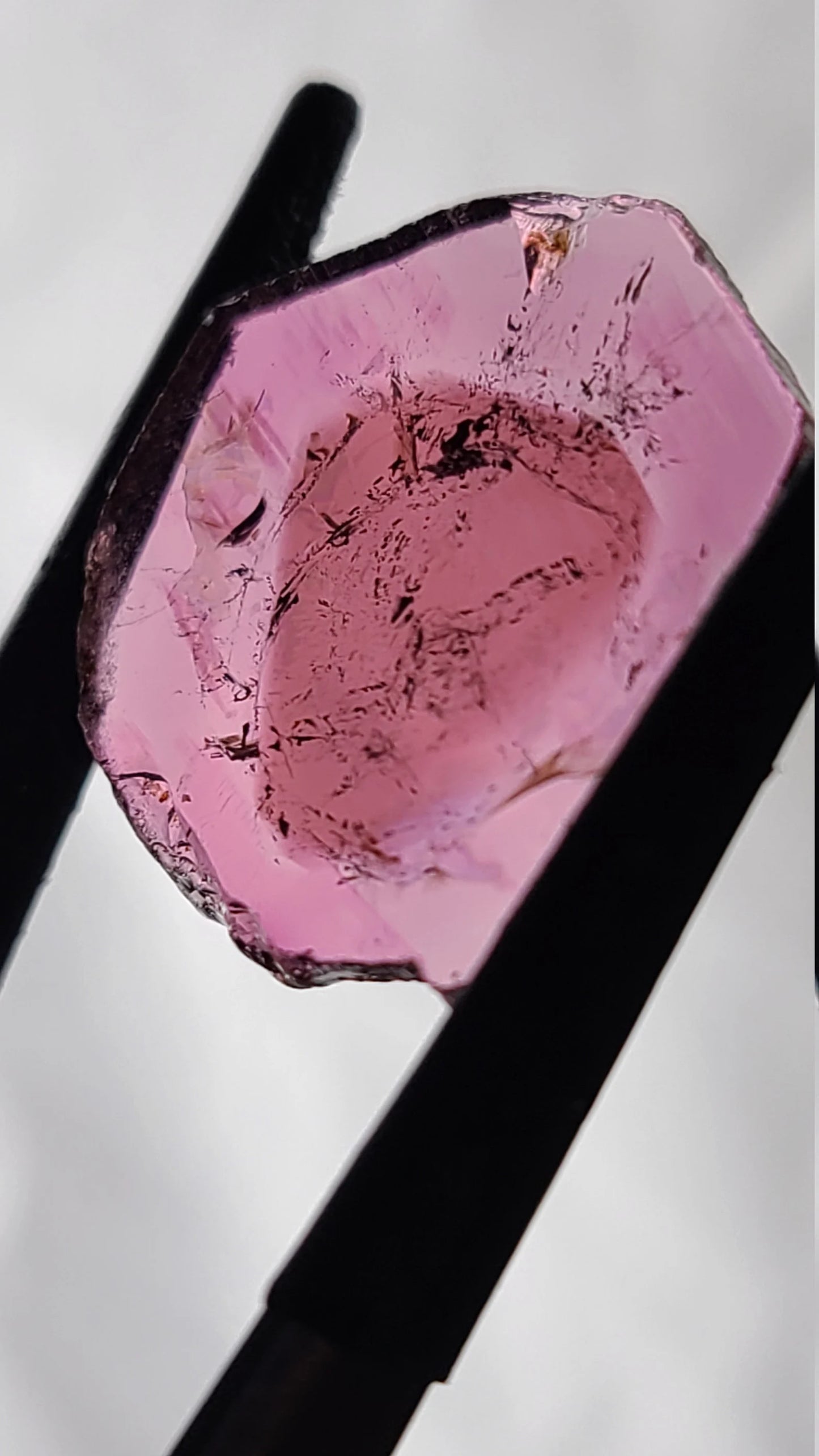 Lovely Natural Tourmaline Slice from Brazil, 15.62 cts., 23x22 mm., Polished Crystal Slice