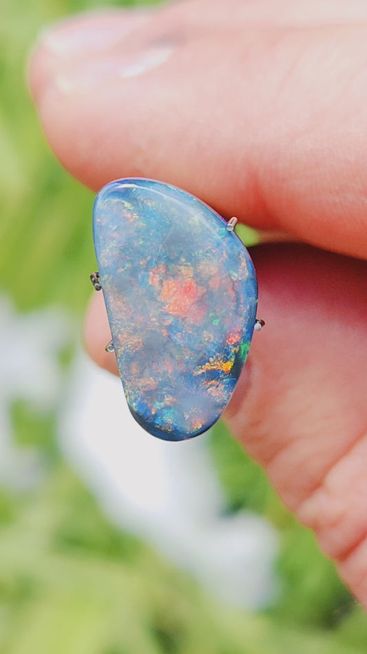 Semi Black Opal, 5.62 cts., 19.3x10.8 mm., Freeform Cabochon, Australia, Natural
